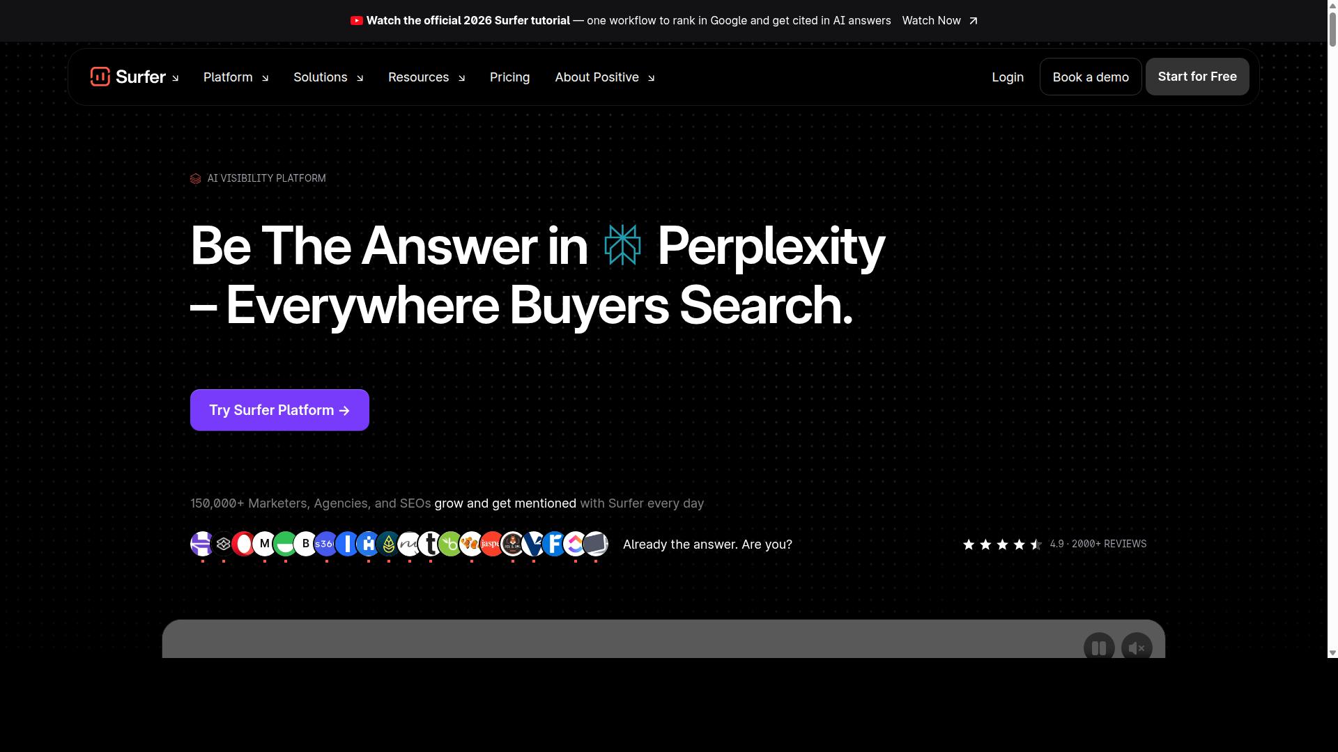 Surfer SEO website